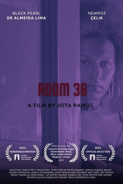 Poster do Filme Room 36