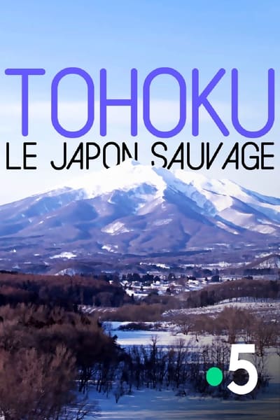 poster Tohoku, le Japon sauvage