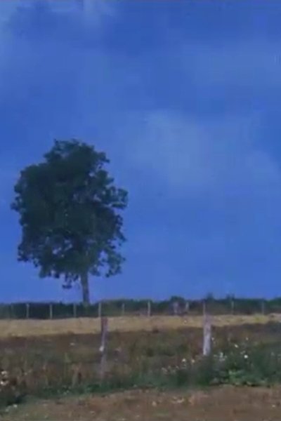 Poster do Filme Dehors