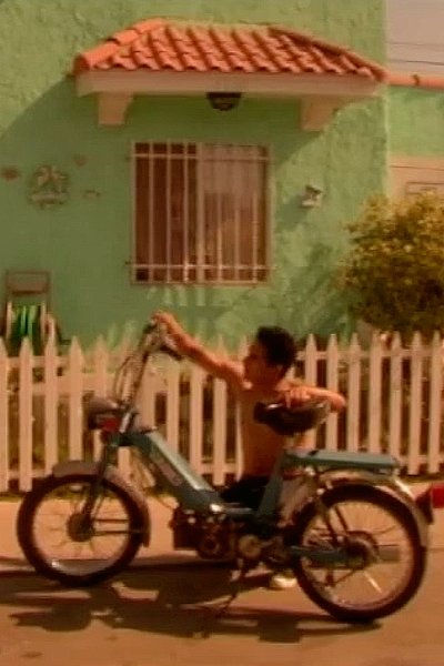 movie poster for La Puta