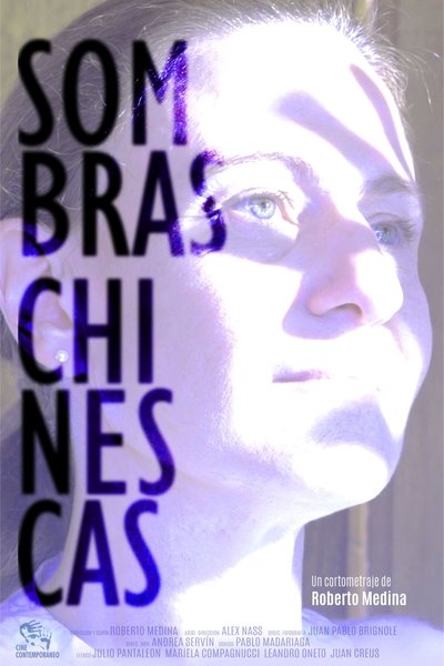 movie poster for Chinese Shadows