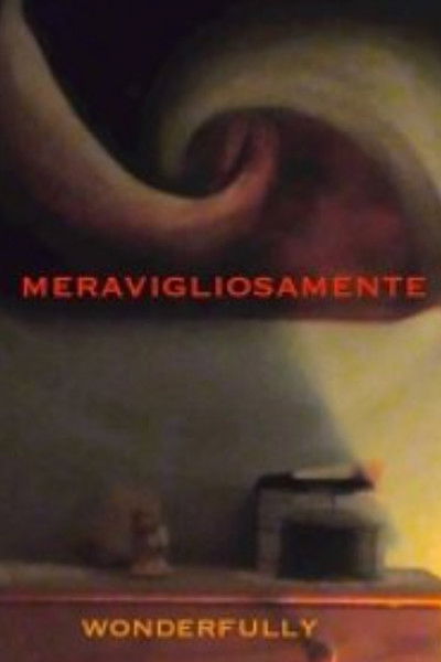 Poster do Filme Meravigliosamente