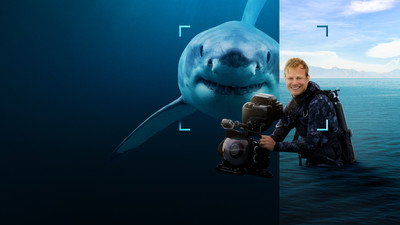 Sharks Up Close with Bertie Gregory (2025) Watch Online Free | ඔන්ලයින් බලන්න