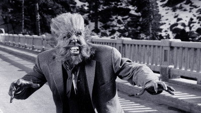 Görsel #252520