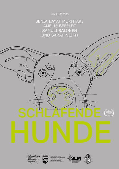 Poster do Filme Schlafende Hunde