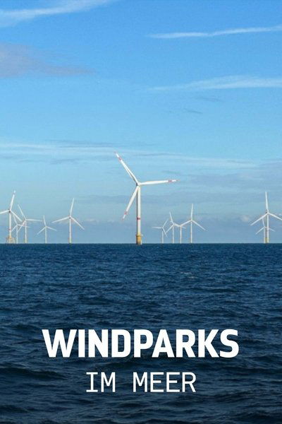 Windparks im Meer - Chance oder Risiko für die Natur?