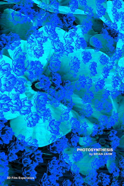 Poster do Filme Photosynthesis