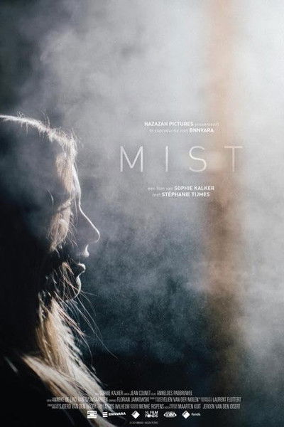 movie poster for Mist