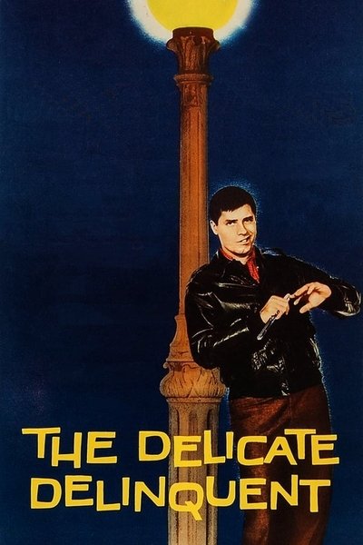 Poster for the movie The Delicate Delinquent