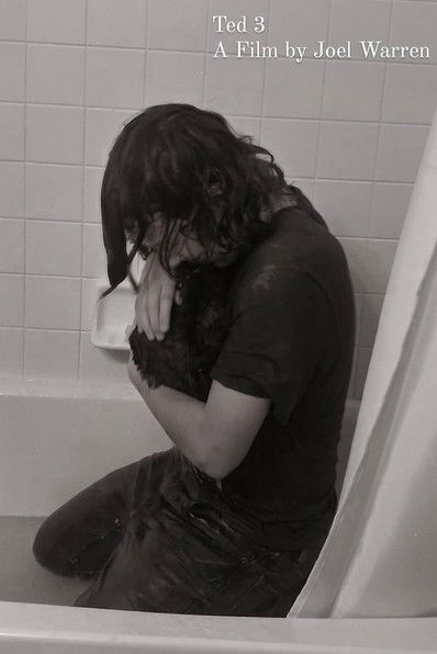 Poster do Filme Ted 3