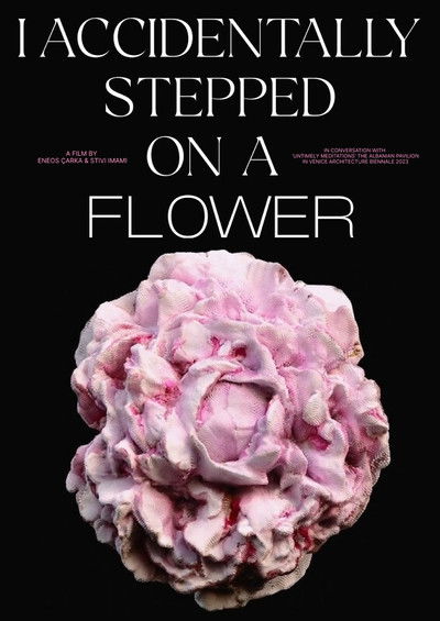 Poster do Filme Aksidentalisht shkela një lule