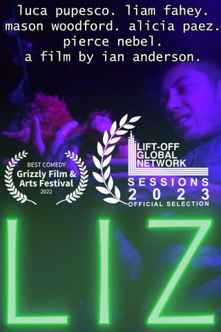Poster do Filme LIZ