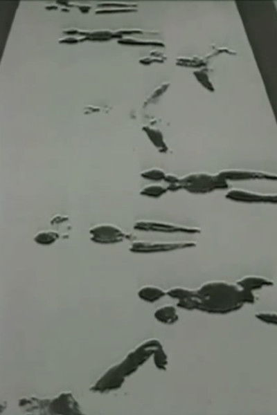 Poster do Filme Anthropometries of the Blue Period and Fire Paintings