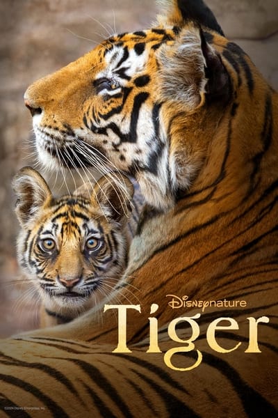 Poster for the movie Tiger