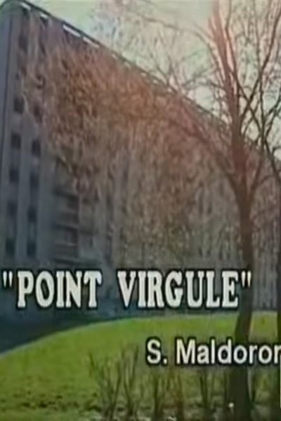 movie poster for Point Virgule
