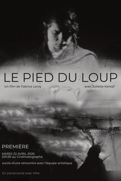 Poster do Filme Le Pied du loup
