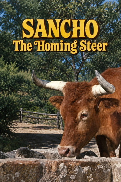 Sancho, the Homing Steer