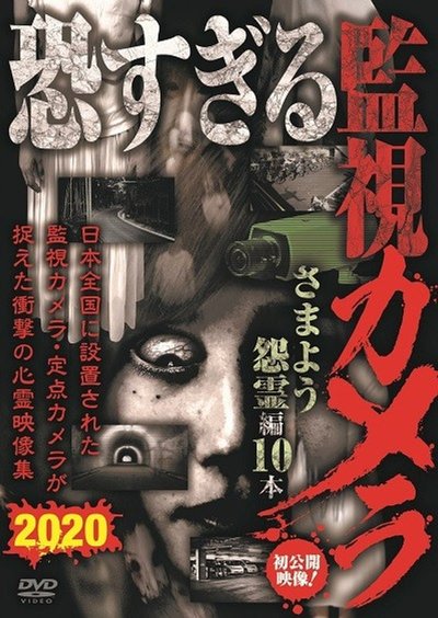 Poster do Filme 恐すぎる監視カメラ さまよう怨霊編10本