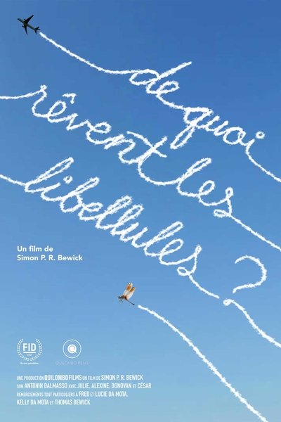 Poster do Filme De quoi rêvent les libellules?