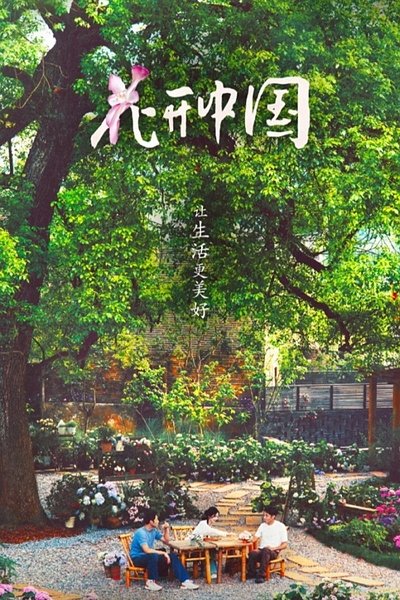 poster for 花开中国