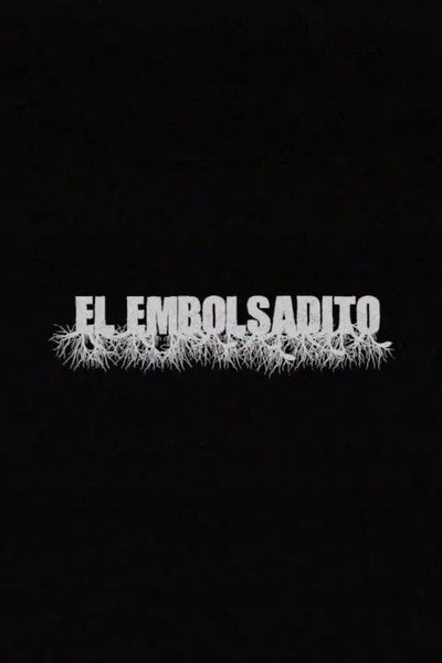 Poster do Filme El Embolsadito