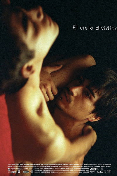 Poster do Filme El cielo dividido