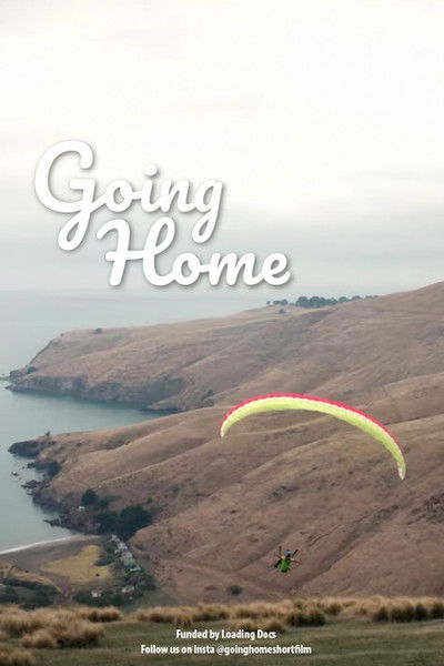 Poster do Filme Going Home