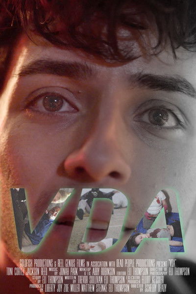 Poster do Filme VDA