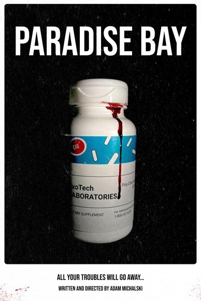 Poster do Filme Paradise Bay