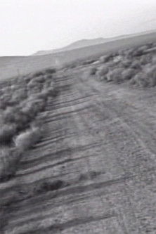 Poster do Filme Facts on the Polywave