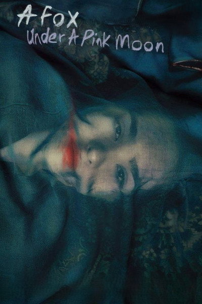 Poster do Filme روباه و ماه صورتی