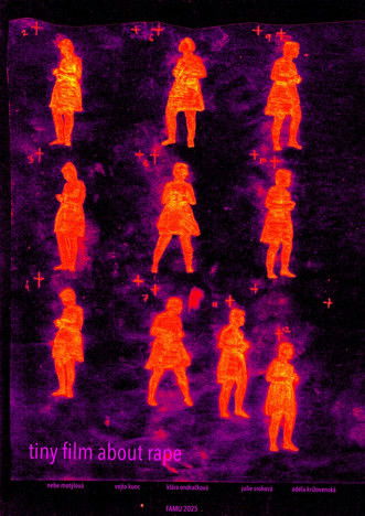 Poster do Filme malý film o znásilnění