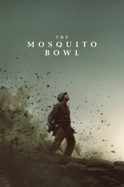 The Mosquito Bowl