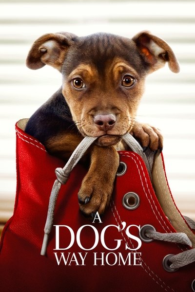 Poster for the movie A Dog's Way Home