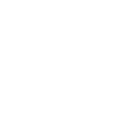Battle Royale Logo
