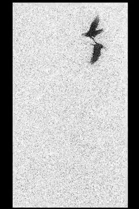 Poster do Filme Of Dice and Men