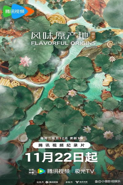 poster for 风味原产地·湖北