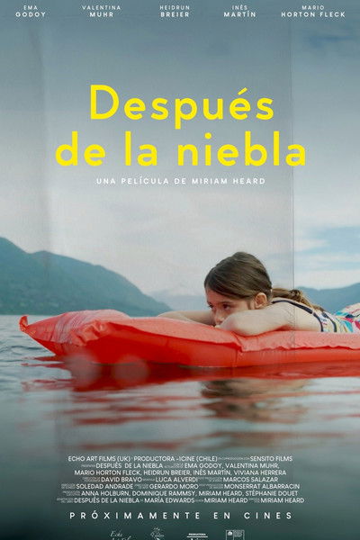 Poster do Filme Después de la niebla