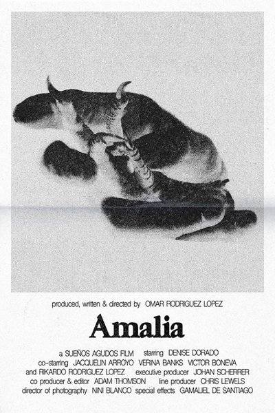 Poster do Filme Amalia
