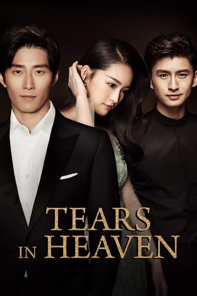 Tears in Heaven TV Show Poster