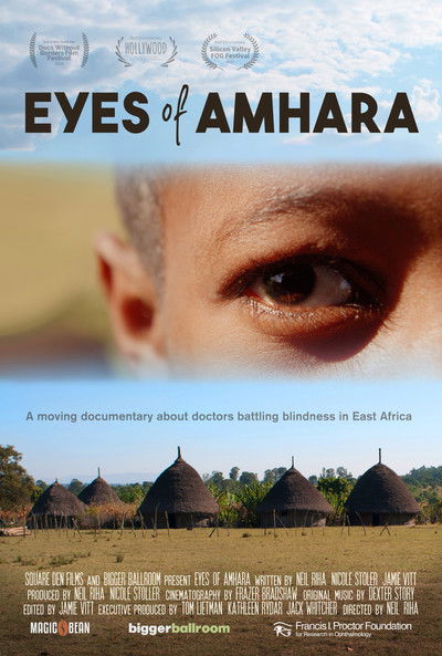 Poster do Filme Eyes of Amhara