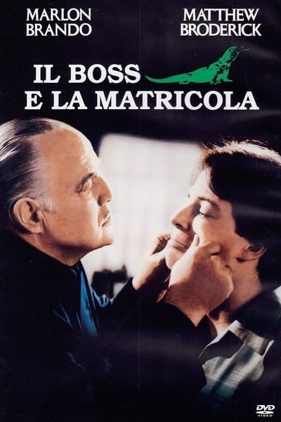 Il boss e la matricola (1990)