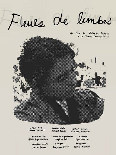 Poster do Filme Fleurs de limbes