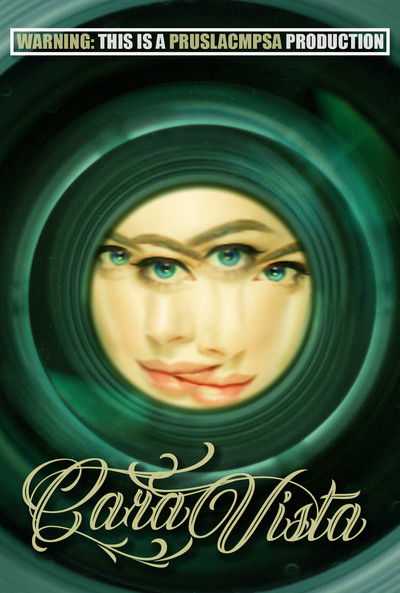 Poster do Filme Cara Vista