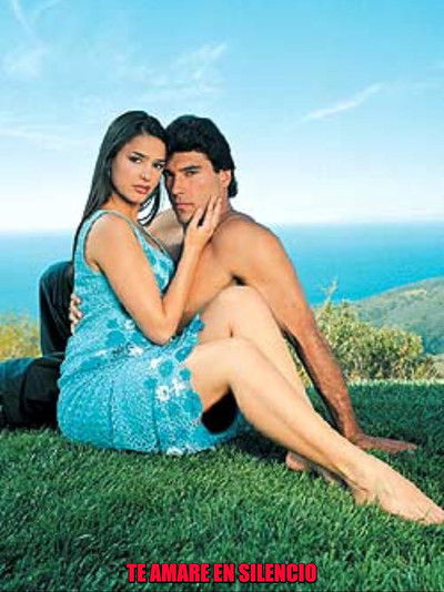 poster for Te amaré en silencio