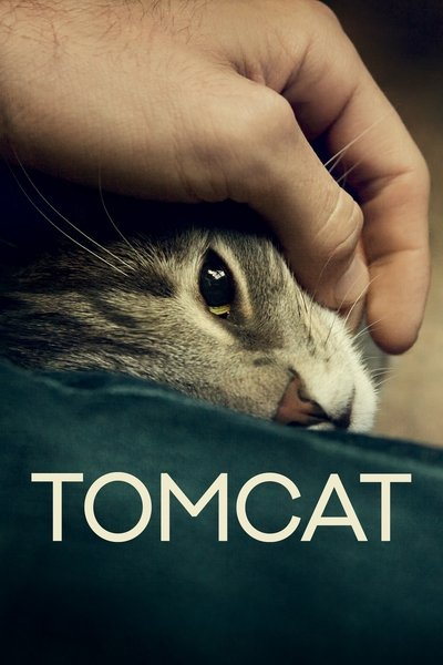 Poster for the movie Tomcat