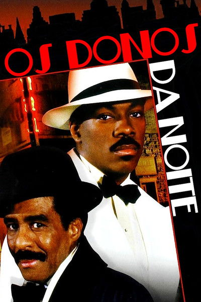 Poster do Filme Os Donos da Noite