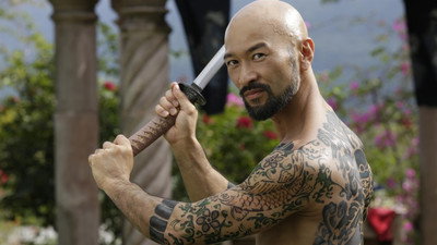Falcon Rising (2014) Watch Online Free | ඔන්ලයින් බලන්න