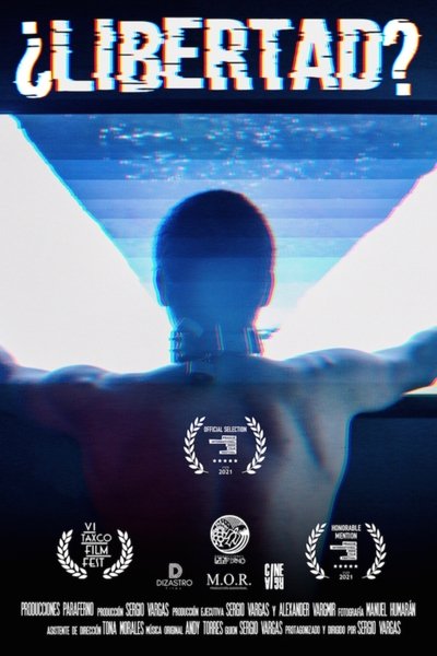 Poster for the movie ¿Libertad?