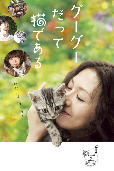 Poster do Filme グーグーだって猫である